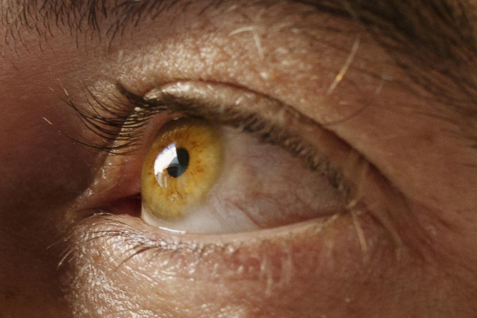 An amber iris fills the frame.
Light rests on its surface.
Veins map the white.
The pupil widens slightly.
The world is reflected, contained.