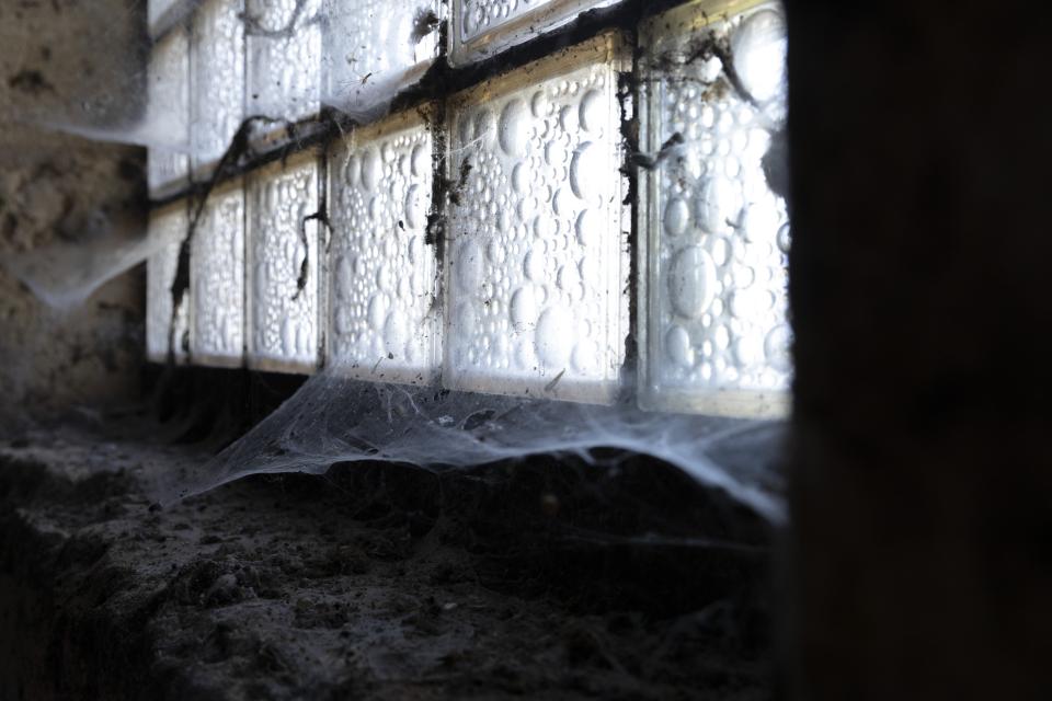 INT.CELLAR-DAY: Light comes in through the glass blocks, muted, practical. The stone ledge carries a visible layer of dust. Webs stretch from the frame to the wall and remain where they are. Nothing suggests they were ever meant to be removed.