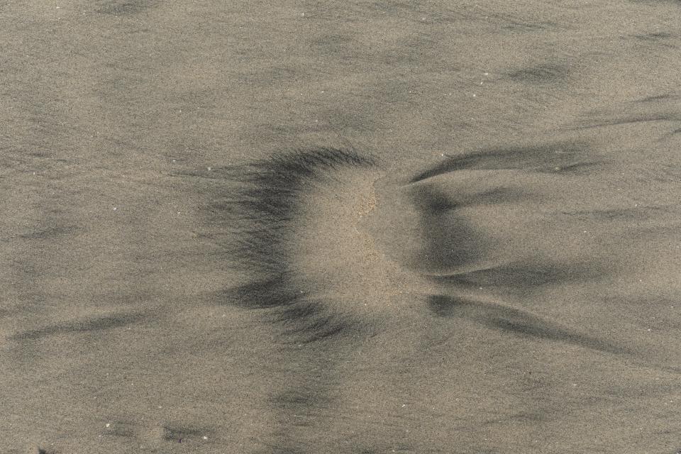 Wind carves a dark shape into the surface.
Grains gather, then disperse.
The mark feels intentional.
It is not.
The sand holds it briefly.
Then it shifts.
