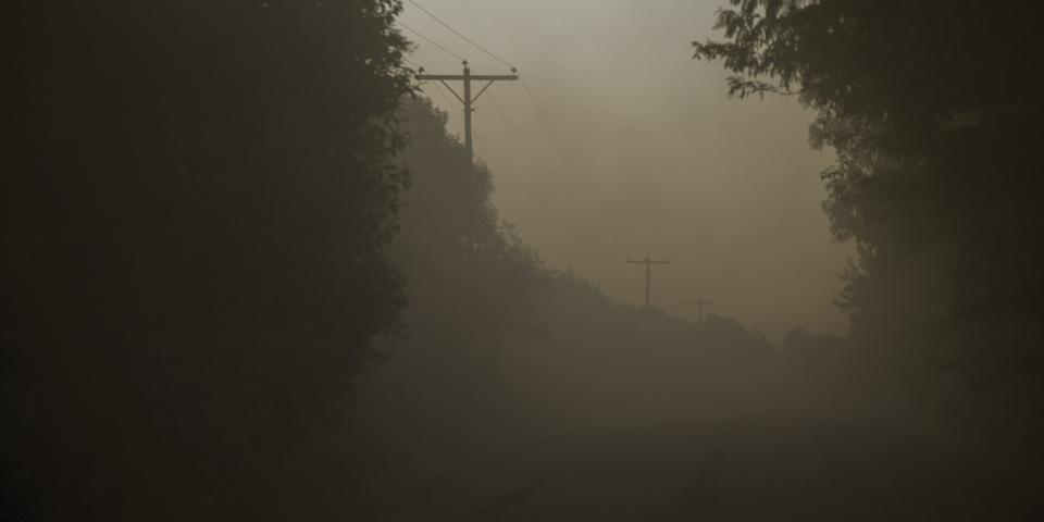 Mist softens the distance.
Telephone poles recede in quiet intervals.
Wires draw faint lines across the fading light.
Trees close in at the edges.
Nothing moves.
The air holds its breath.