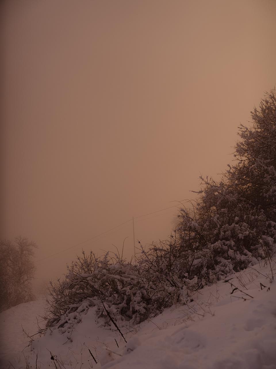 Snow holds the slope in silence.
Branches are heavy, outlined in white.
The sky burns softly — pink, almost unreal.
A thin wire cuts across the distance.