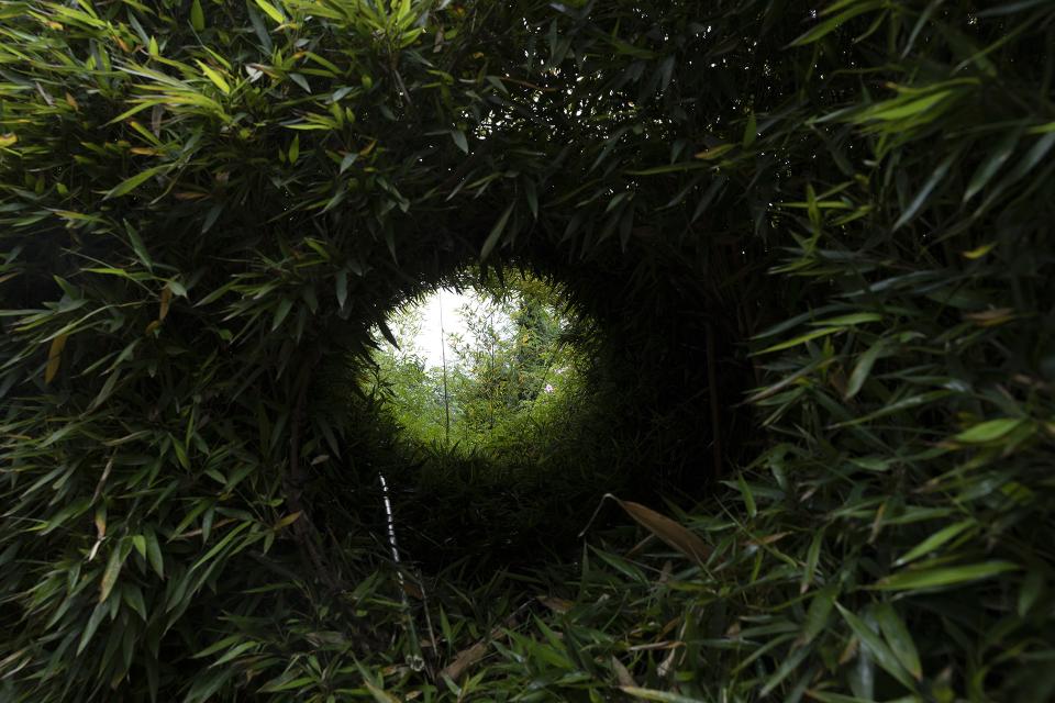 A hole in the garden