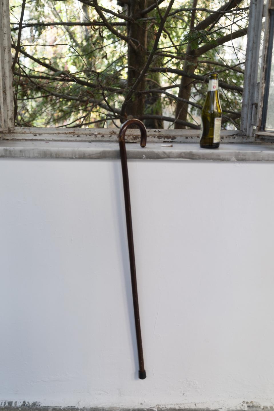 An open window.
Branches press close from outside, almost entering.
A bottle rests on the sill, half-empty.
A cane leans against the wall — upright, solitary.
Light is clean, almost indifferent.
Inside: stillness.
Outside: overgrowth.
Between the two, a narrow ledge where something has just ended — or is about to begin. Again Nicus Lucà